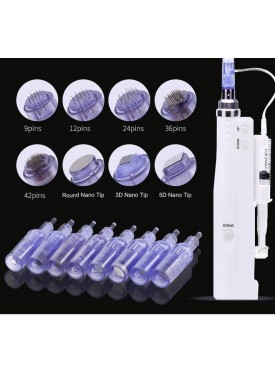 DERMAPEN PRO MICRONEEDLING têtes Beverley